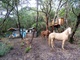 chalet Caldana