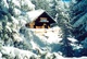 Cottage Wagrain