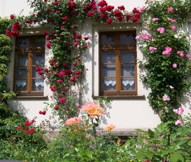 Ferienwohnung Görlitz