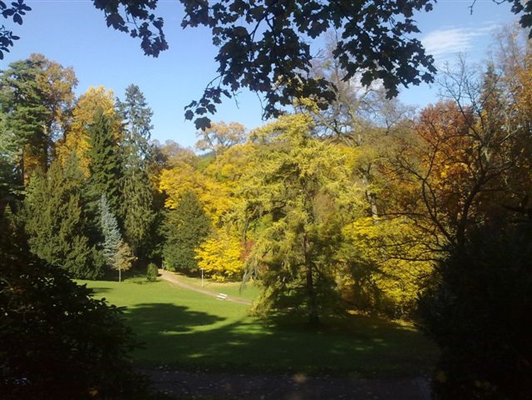 Indian Summer in Badenweiler