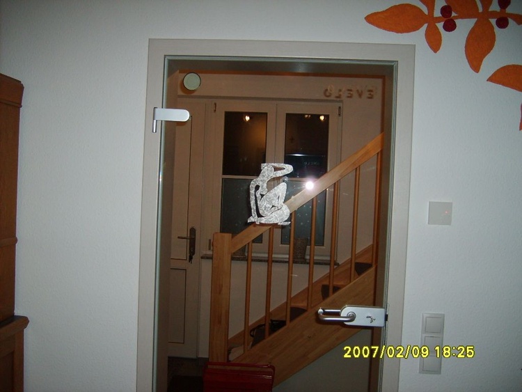 Glastür vom WZ in den Flur