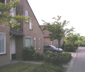 Ferienhaus Nieuwvliet - Bad