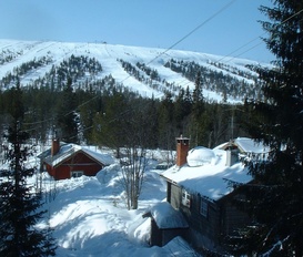 Hütte Sälen