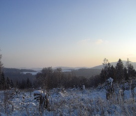 Ferienwohnung Diemelsee