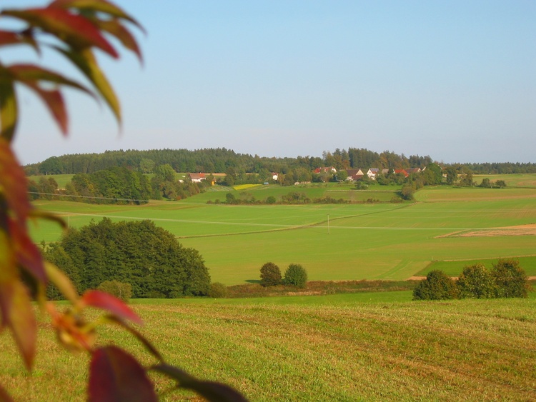 Blick Richtung Oberhaslach
