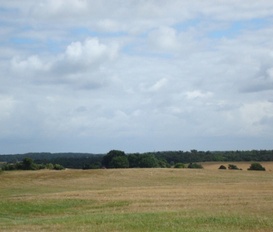 Ferienhaus Wittenbeck