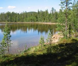 Ferienhaus Särvsjö