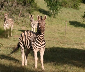 Ferienwohnung Jeffreys Bay