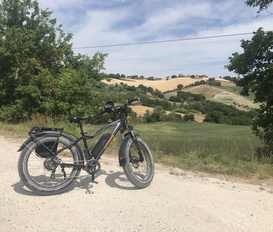 Ferienwohnung Pergola