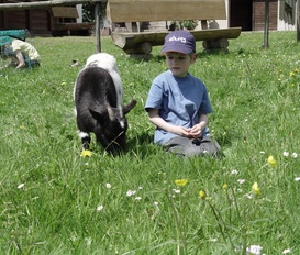 Ferienwohnung Bad Rippoldsau-Schapbach