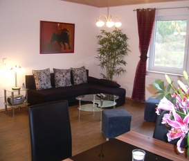 Ferienhaus Willingen