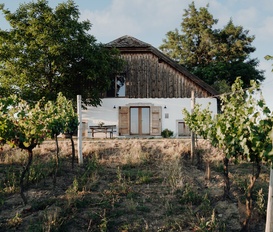 Ferienhaus Roseldorf