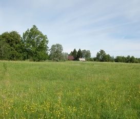 Ferienhaus Litene