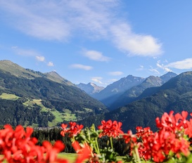 Appartment Hollersbach im Pinzgau
