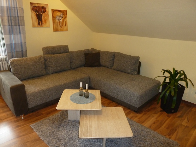 Wohnzimmer mit Schlafcouch