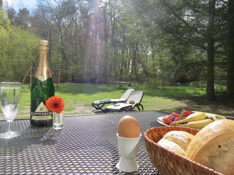 Großes eingezäuntes Grundstück