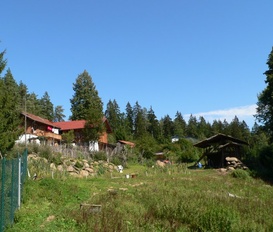 Hütte Geiersthal