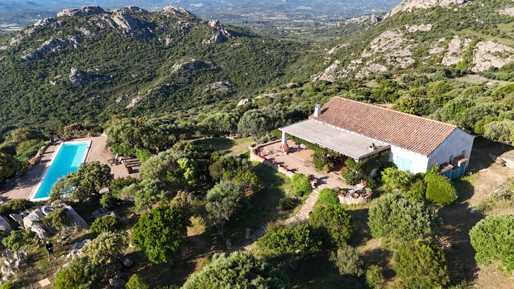 Luftaufnahme Haus, Pool und Garten