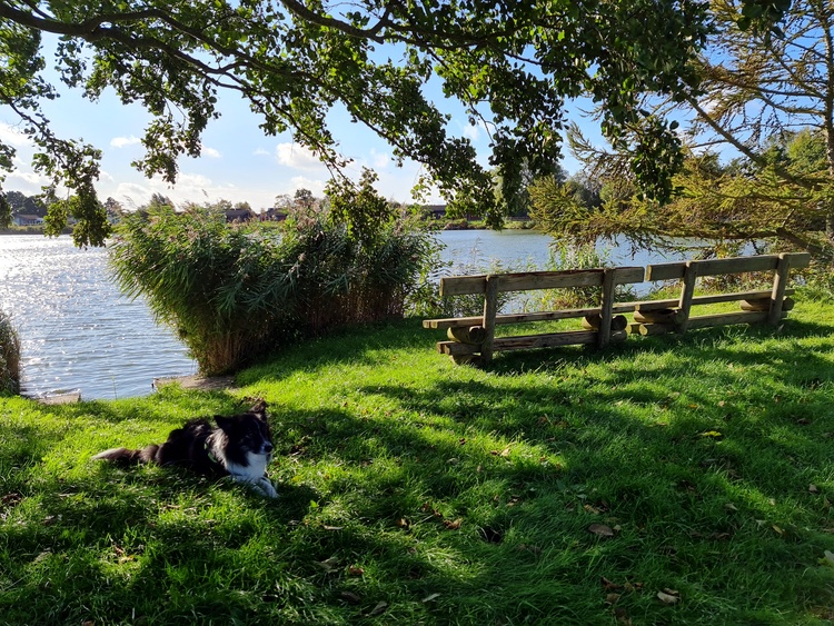 Binnensee ebenfalls vorm Haus