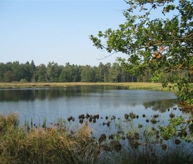 Holiday Home Wittelte