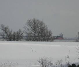 Ferienwohnung Drochtersen - Elbinsel Krautsand