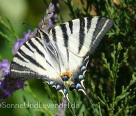 Ferienwohnung Naturpark Vercors- Drôme  Gigors