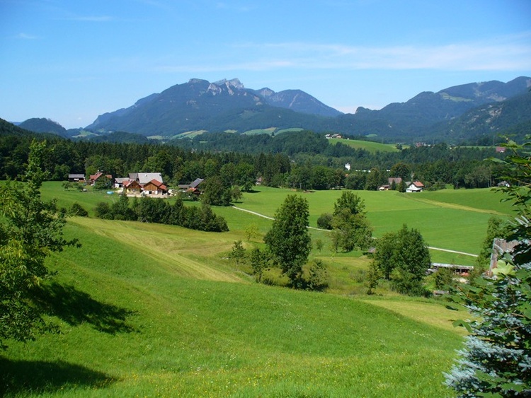 Blick vom Wohnzimmer