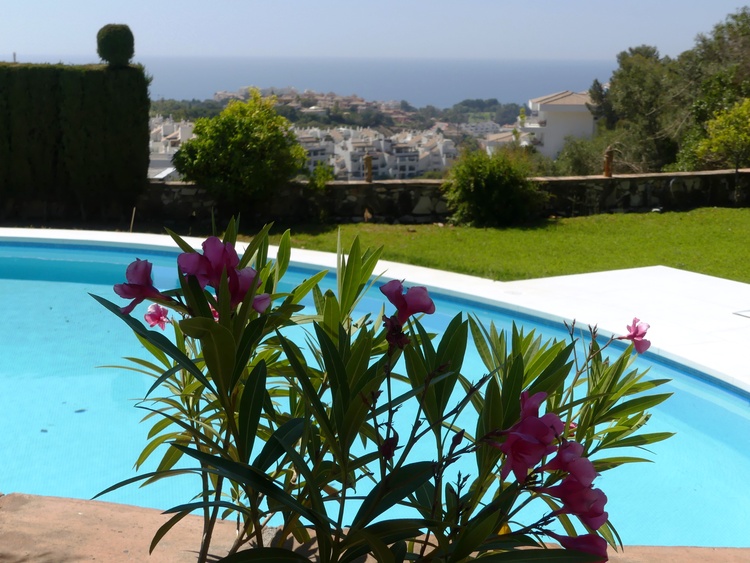 Großer Pool im Garten