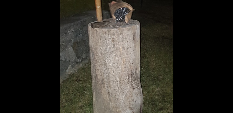 Freizeitbeschäftigung ohne Handy