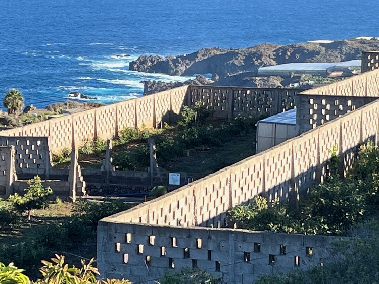 Blick auf die angrenzenden Plantagen