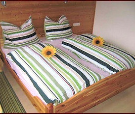Ferienwohnung Hippach/Mayrhofen