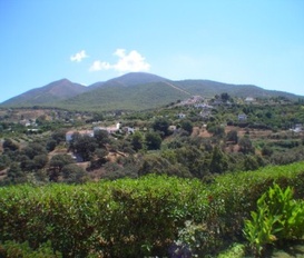 Ferienhaus Alhaurin el Grande