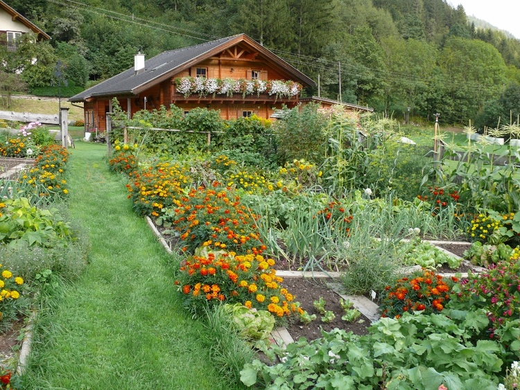 Garten
