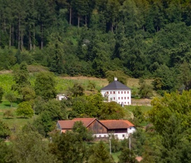 Ferienhaus Schlüßlberg