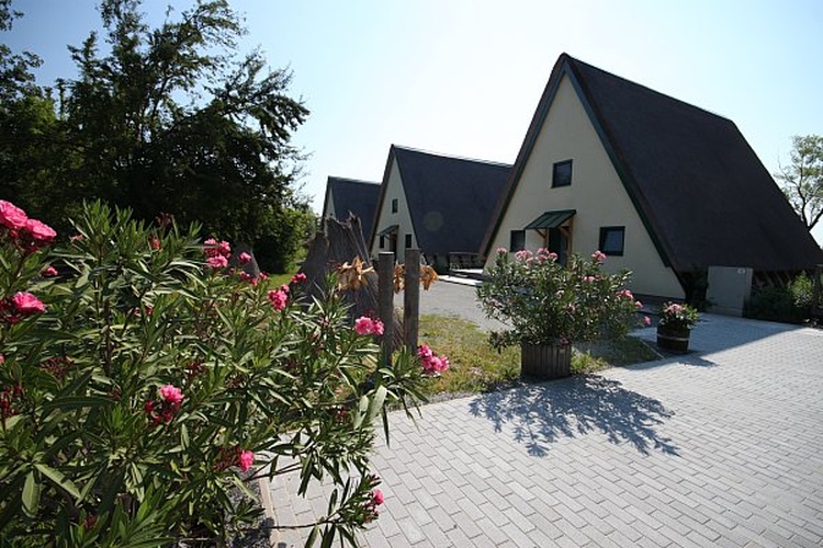 Vorgarten zu den Häusern