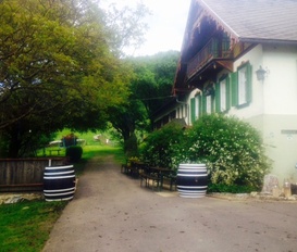 Ferienwohnung Kapfenstein