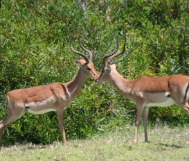 Ferienwohnung Jeffreys Bay