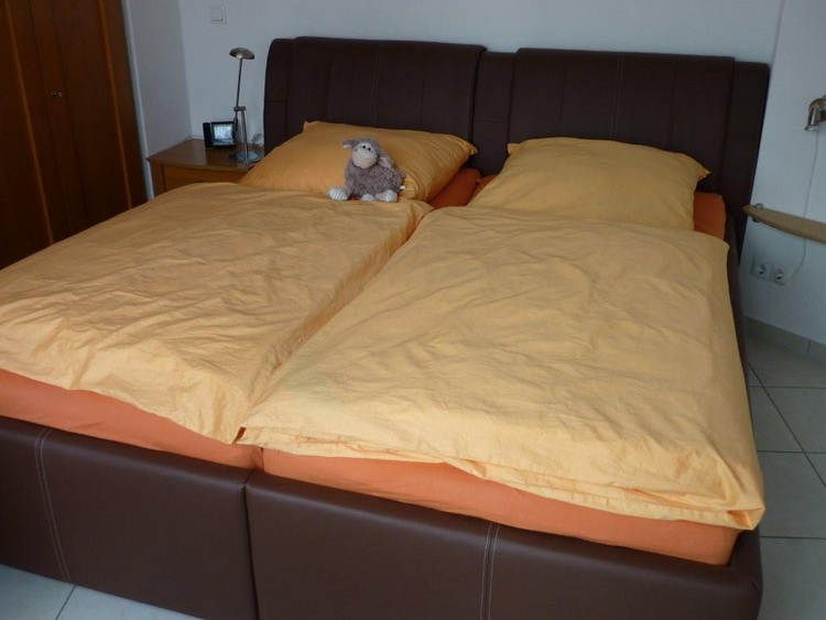 Lederbett (SZ mit großem Kleiderschrank)