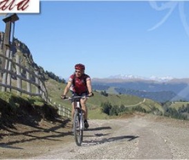 Ferienwohnung St.Ulrich