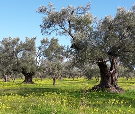 Ferienwohnung Squillace Lido