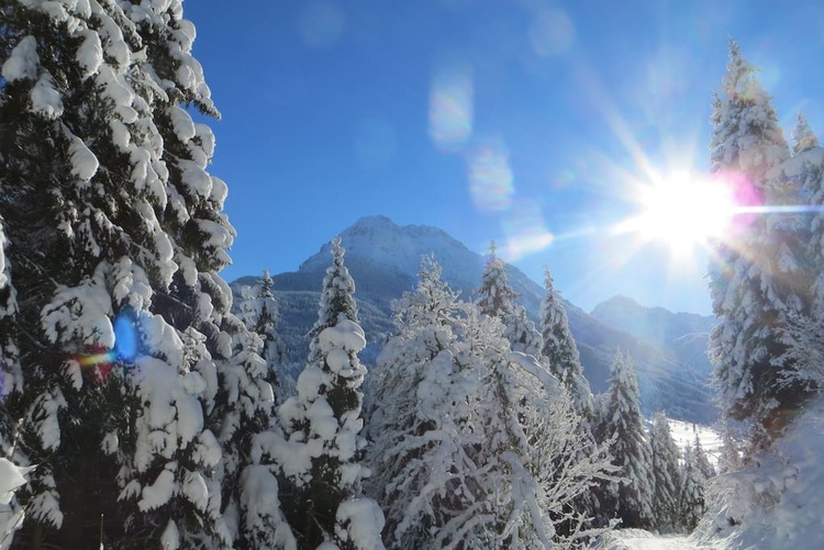 Aussicht vom kleinen Apartment