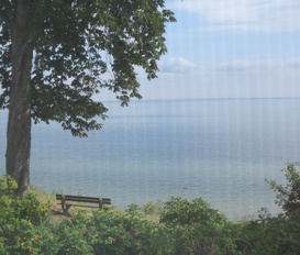 Ferienhaus Steinberg