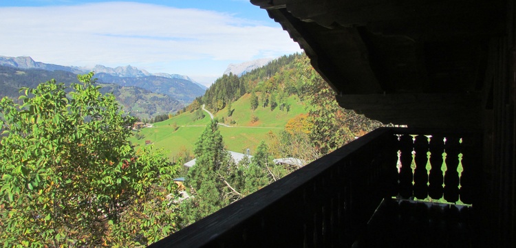 Ausblick vom Balkon