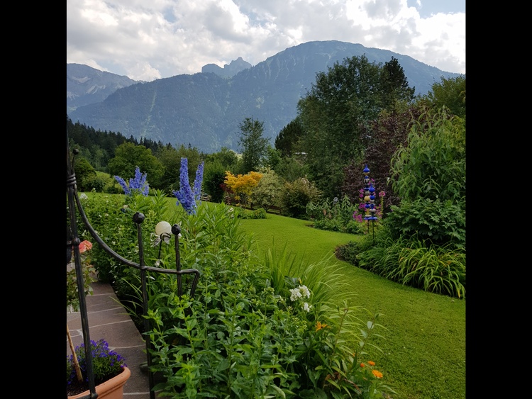 ein Teil des Gartens