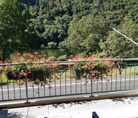 Appartment Ediger-ELLER