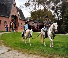 Bauernhof Tetenbüll