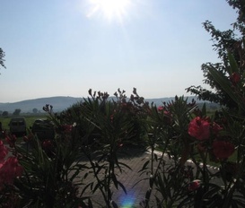 Appartment Zagyvaszanto