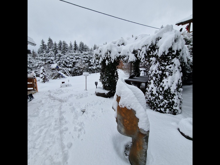 Winter Wonderland Garten