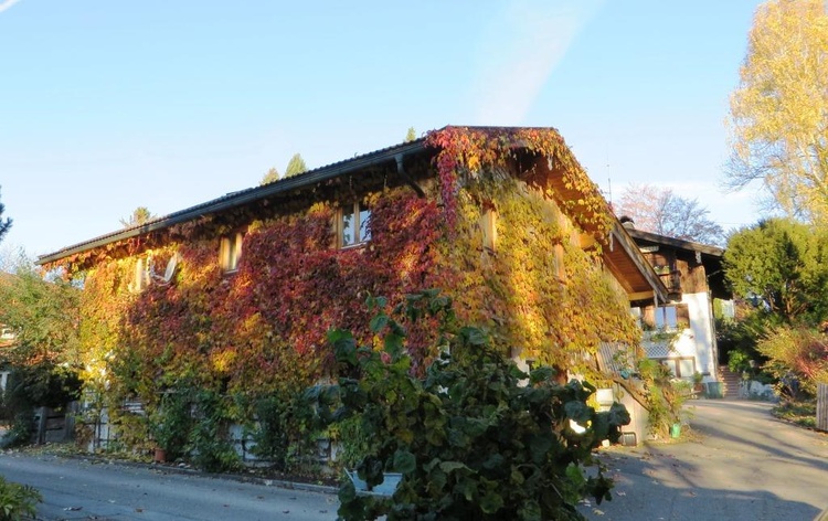 Ferienhaus Süd- und Ostseite