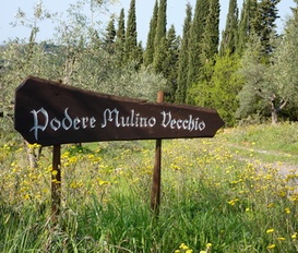 Ferienhaus Guardistallo Toskana